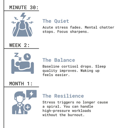 Calm Core - Intelligent Mood Support Kit